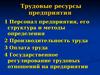 Трудовые ресурсы предприятия. (Тема 8)