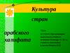 Культура стран арабского халифата (урок истории)