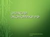 Отрасли экономики РФ