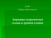 Закрытые повреждения головы и грудной клетки