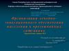 Организация лечебноэвакуационного обеспечения населения в чрезвычайных ситуациях
