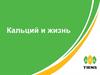 Кальций и жизнь. Преимущества серии продукции с кальцием «Тяньши»