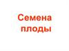 Плод и семя