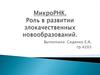 МикроРНК. Роль в развитии злокачественных новообразований