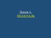 Пелагіаль (лекція 4)