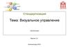 Визуальное управление