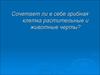 Сочетает ли в себе грибная клетка растительные и животные черты