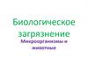 Биологическое загрязнение. Микроорганизмы и животные