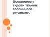 Особливості будови тканин рослинного організму