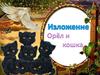 Изложение. Орёл и кошка