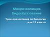 Микроэволюция. Видообразоваание