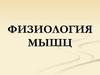 Физиология мышц
