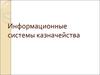 Информационные системы казначейства