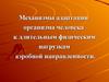 Механизмы адаптации организма человека к длительным физическим нагрузкам аэробной направленности
