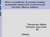 Виды теплообмена. В технике: водяное охлаждение двигателей, отопительный системы. Модель термоса