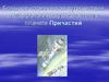 Морфологический разбор предложения. Причастие