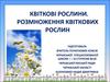 Квіткові рослини. Розмноження квіткових рослин
