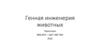 Генная инженерия животных. Получение зигот