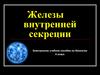 Железы внутренней секреции
