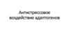 Антистрессовое воздействие адаптогенов