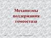 Механизмы поддержания гомеостаза