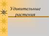 Удивительные растения