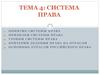 Система права. (Тема 4)