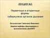 Лекция №5. Первичные и вторичные формы туберкулеза органов дыхания