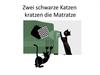Zwei schwarze Katzen kratzen die Matratze
