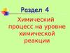 Анализ кинетической модели химических превращений. (Тема 4.4)