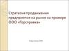 Стратегия продвижения предприятия на рынке на примере ООО «Горсправка»