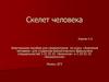 Скелет человека. Электронное пособие для самоконтроля