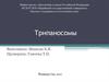 Трипаносомы. Паразитические одноклеточные организмы