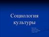 Социология культуры