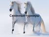 Сезонные турниры в Star Stable Online