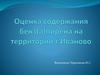 Оценка содержания бенз(а)пирена на территории г. Иваново