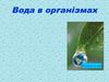 Вода в організмах