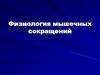 Физиология мышечных сокращений