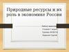 Природные ресурсы и их роль в экономике России