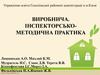Виробнича. Інспекторсько-методична практика