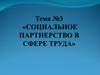 Социальное партнерство в сфере труда. (Тема 3)