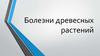 Болезни древесных растений