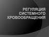 Регуляция системного кровообращения