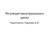 Регуляция менструального цикла