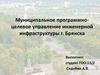 Муниципальное программно-целевое управление инженерной инфраструктуры города Брянска
