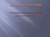 Основы анатомии. Функциональная анатомия (остеология, миология)