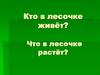 Кто в лесочке живёт. Что в лесочке растёт
