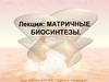 Матричные биосинтезы
