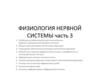 Физиология нервной системы (часть 3)
