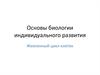 Основы биологии индивидуального развития. Жизненный цикл клеток